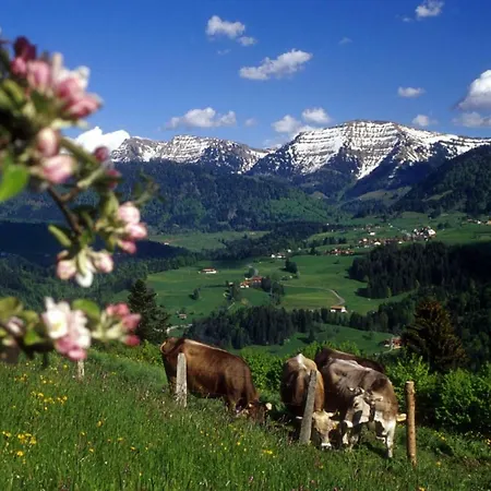 Daire Fewo Hochsiedel Oberstaufen/wiedemannsdorf Oberstaufen
